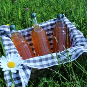 Apple Cider