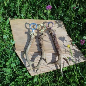 Bottle Opener